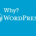 Why is WordPress the Top Pick for CMS Websites?