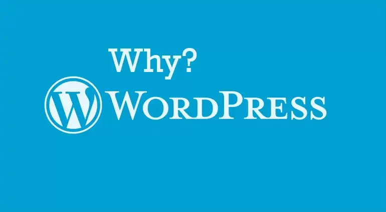 Why is WordPress the Top Pick for CMS Websites?